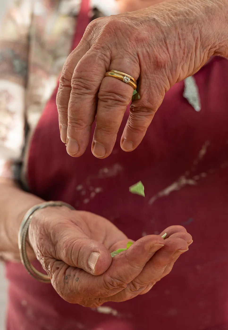 Les mains d'Anik-Chaïma, un éclat de verre vert entre les doigts