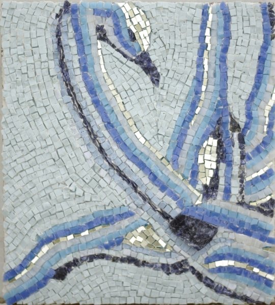 Cygne du Brésil, œuvre d'Anik-Chaïma